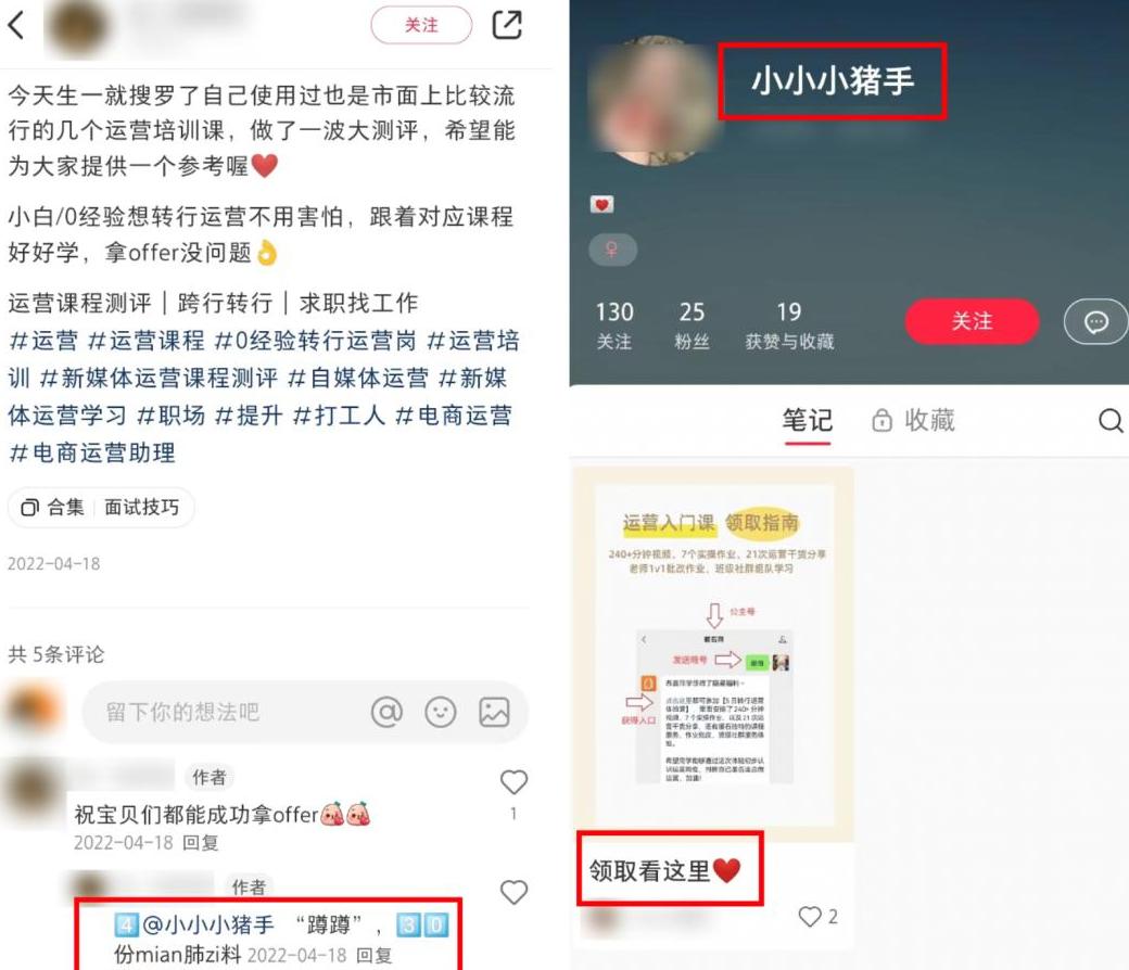 小红喂小白兔吃萝卜写一段话_小红书吸引粉丝的简介怎么写_小红个人简介