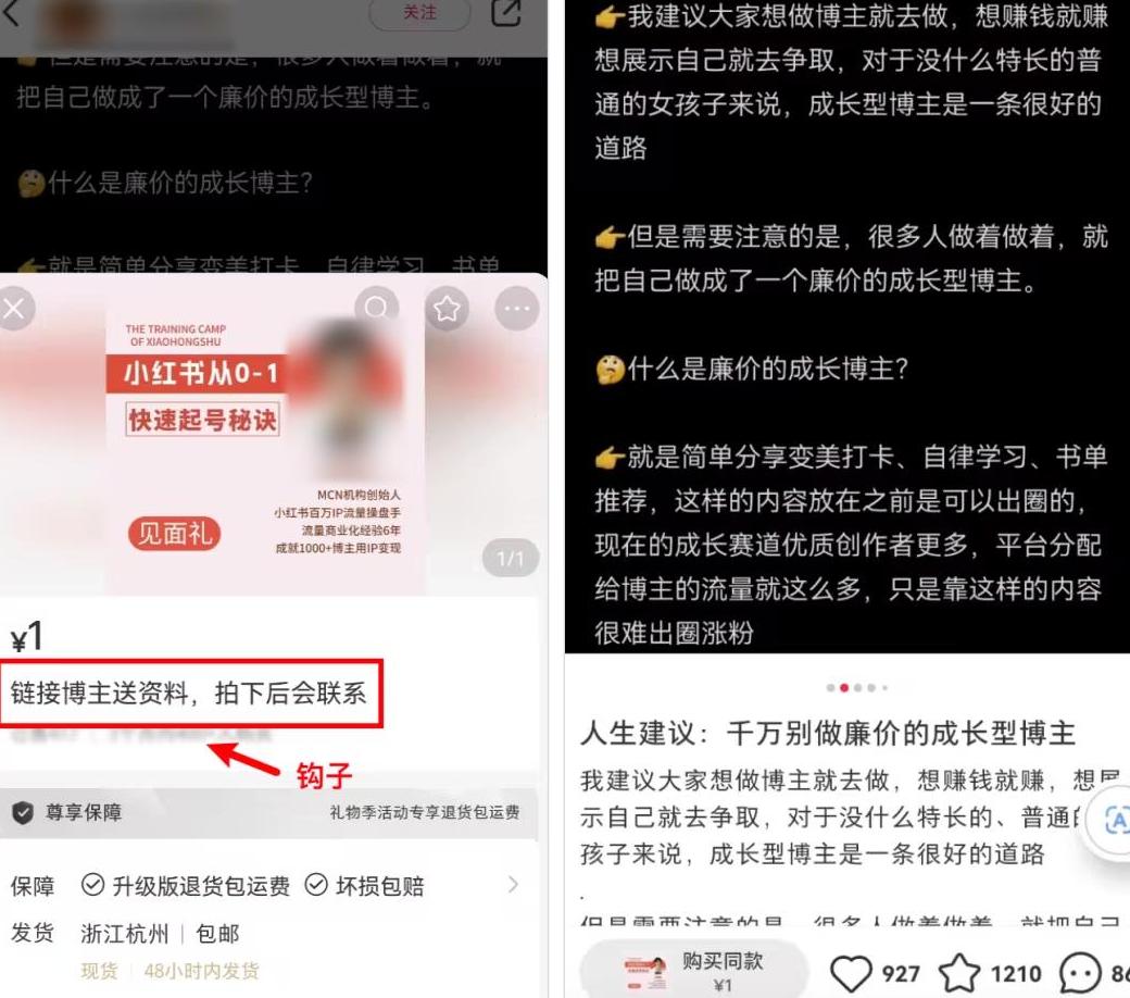 小红个人简介_小红书吸引粉丝的简介怎么写_小红喂小白兔吃萝卜写一段话