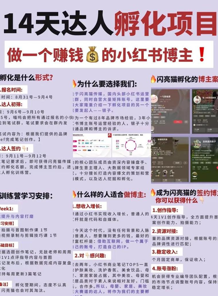 小红书推广玩法_小红书推广怎么赚钱_小红书推广收益