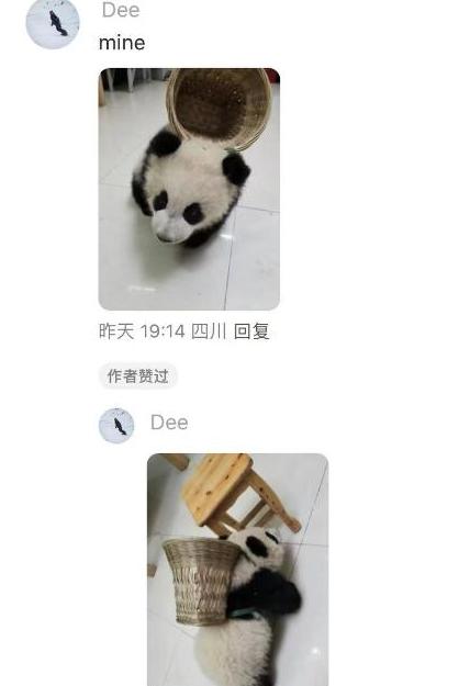 小红标签写书法怎么写_小红书标签作用_小红书怎么自己写标签呢