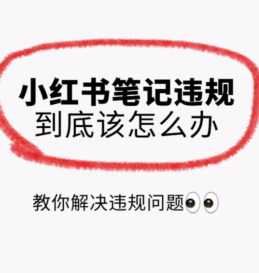 笔记小红违规写书内容是什么_小红书笔记怎么写不违规内容_小红书上笔记违规是什么意思