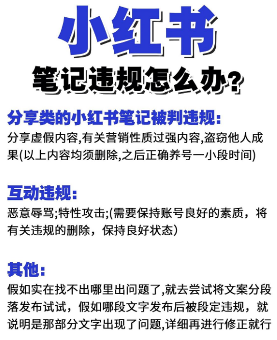 小红书上笔记违规是什么意思_笔记小红违规写书内容是什么_小红书笔记怎么写不违规内容