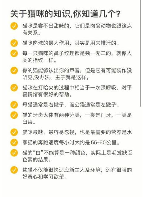 小红书笔记标题怎么写文案_小红书优秀文案笔记_小红书爆款笔记标题写作技巧